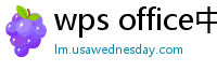 wps office中文版